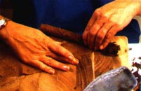 cigares cubain,dominicain,honduras,nicaragua,mexique